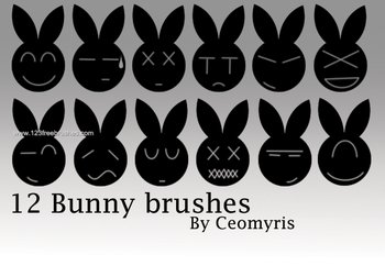 Bunny