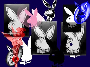 Playboy Bunny