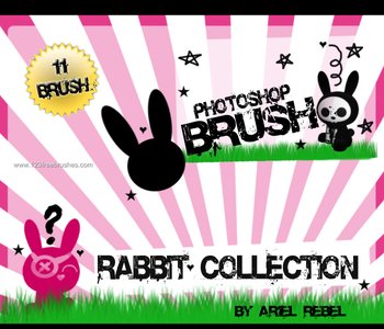 Rabbit