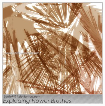 Abstract Flowers