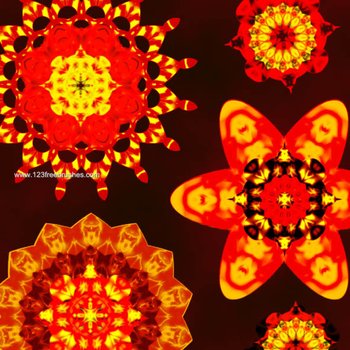 Abstract Flowers