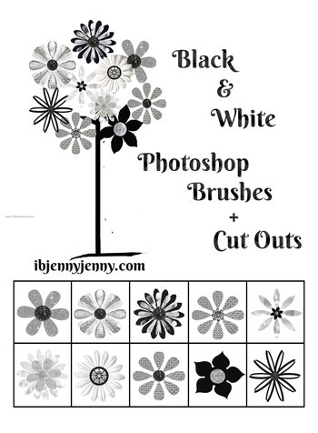 Black and White Flower