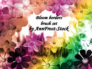 Bloom Borders