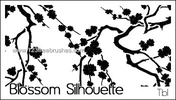 Blossom Silhouette