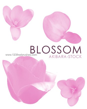 Blossoms
