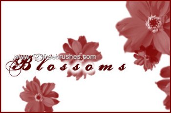 Blossoms
