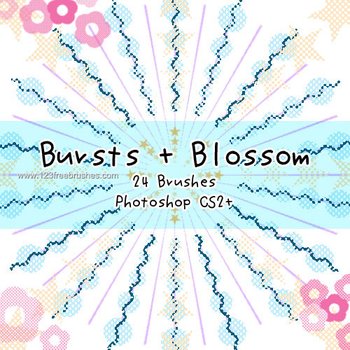 Bursts and Blossom