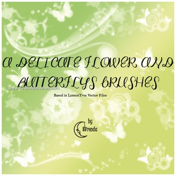 Butterfly and Flowers