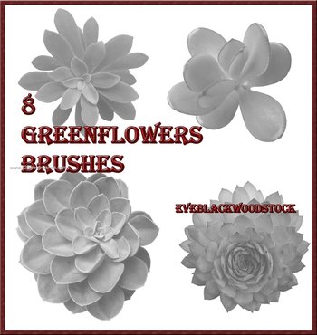 Cactus Green Flowers