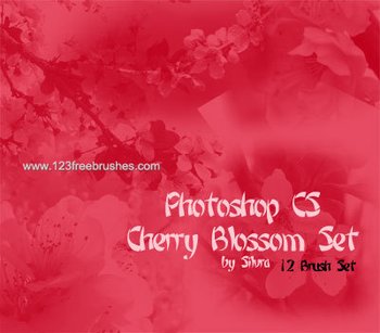 Cherry Blossom