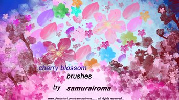 Cherry Blossom
