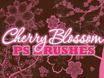 Cherry Blossom