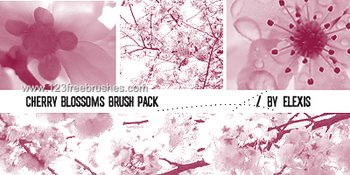 Cherry Blossom