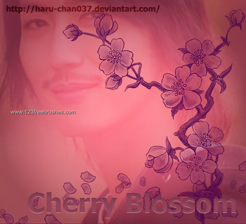 Cherry Blossom