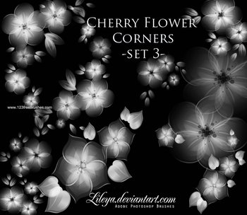 Cherry Flower Corners