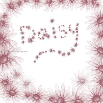 Daisy