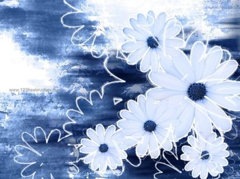 Daisy Flowers