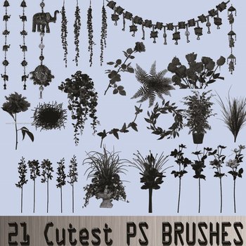 Decorative Flowers Vines