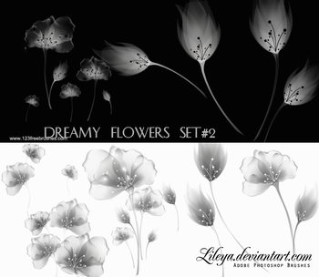 Dreamy Flowers