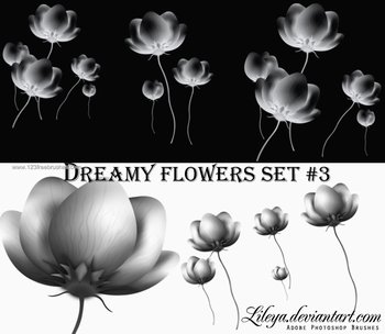 Dreamy Flowers