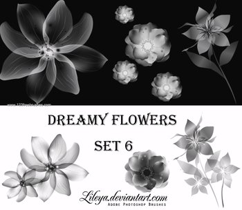 Dreamy Flowers