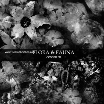 Flora and Fauna