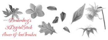Flower and Leaf