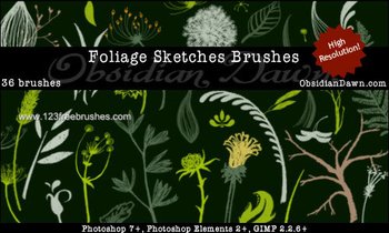 Flower Sketches