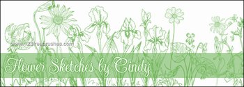 Flower Sketches