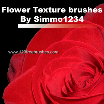 Flower Texture