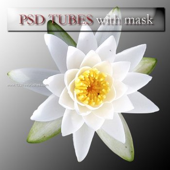 Flower Tubes With Mask