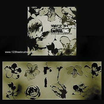 Flower Brushes Cs2