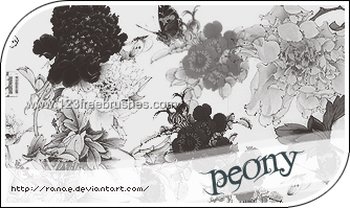 Floral Brushes In Photoshop Free Download