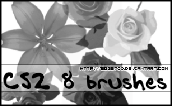 Modern Flower Brushes Photoshop