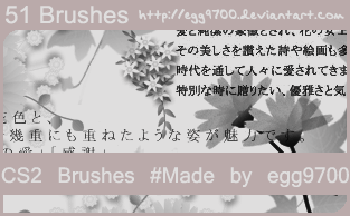 Floral Brushes Mega Set