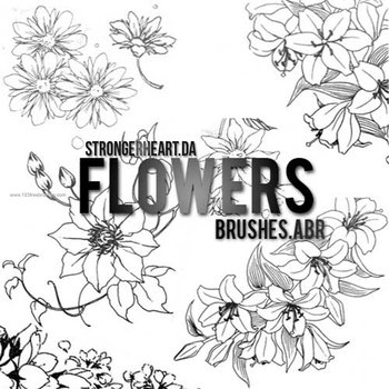 Brushes Photoshop Cs5 Download