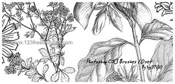 Flower Ornaments Brushes Download