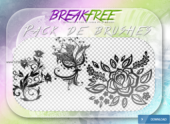 Cs4 Brushes Cs5
