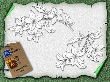 Flower Brushes Photoshop Free Download