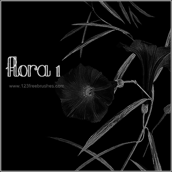 Flower Brushes Photoshop Cs4