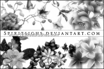 Flower Brushes Photoshop 7 Free Download