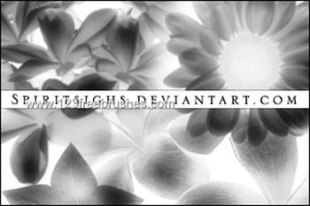 Photoshop 7 Flower Brushes