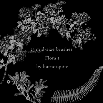 Flower Brushes Photoshop 7 Free Download