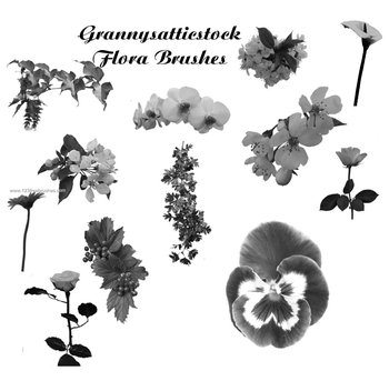 Photoshop 7 Flower Brushes