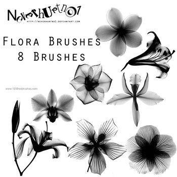 Flower Brushes For Photoshop Cs5 Free Download
