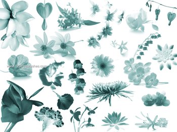 Flower Brushes Free Download