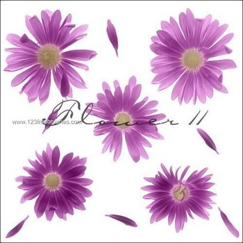 Floral Photoshop Brushes Free