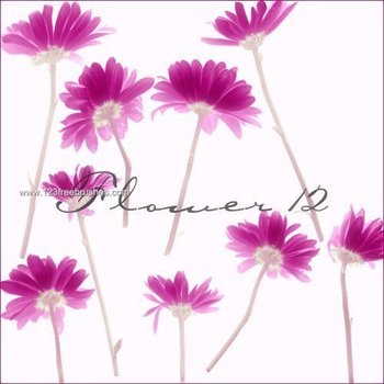 Photoshop Flower Brushes Free