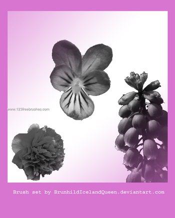Brushes For Photoshop 7