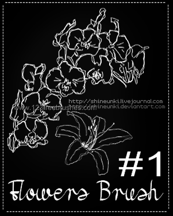 Flower Photoshop Brushes Free